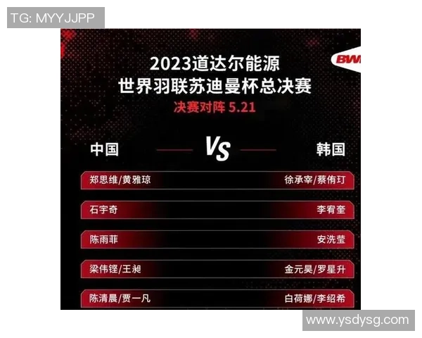 重庆羽毛球队精英赛团队协作表现分析与总结