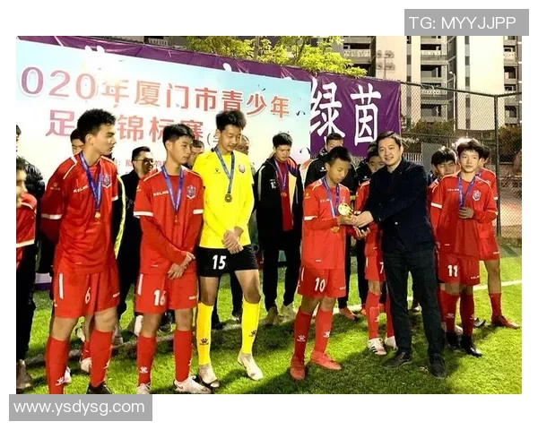 南京排球队战术揭秘：从训练到比赛的全景分析与策略探讨