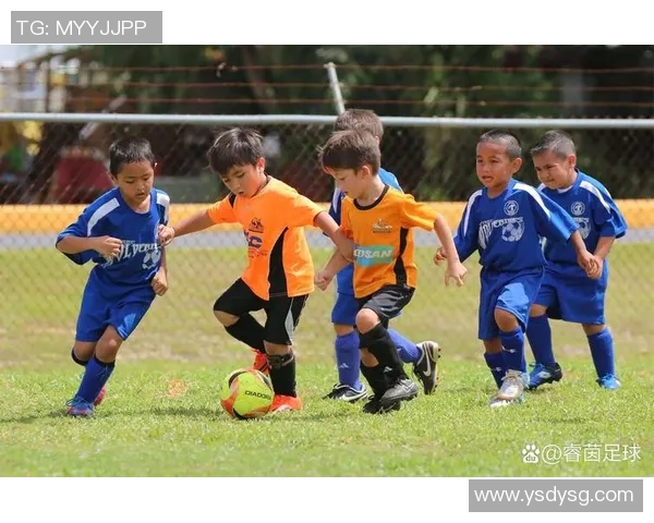 足球新手必看：掌握节奏技巧的全面入门指南与实用建议
